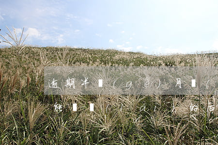 逾期半個(gè)月嚴(yán)重嗎？可能帶來(lái)的后果是什么？是否會(huì)坐牢？